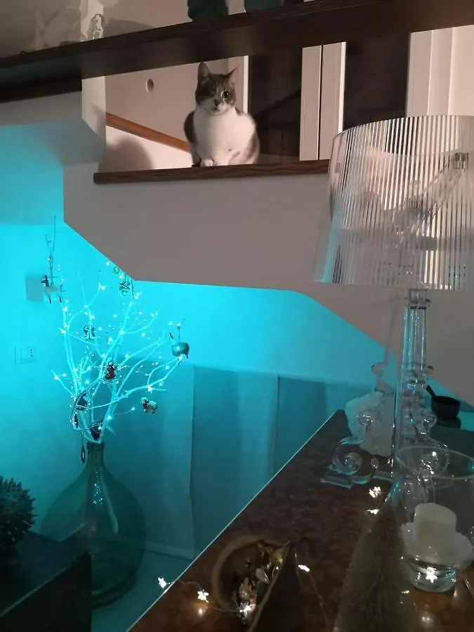 Guest house Terrazza Alla Cala Palermo Italy